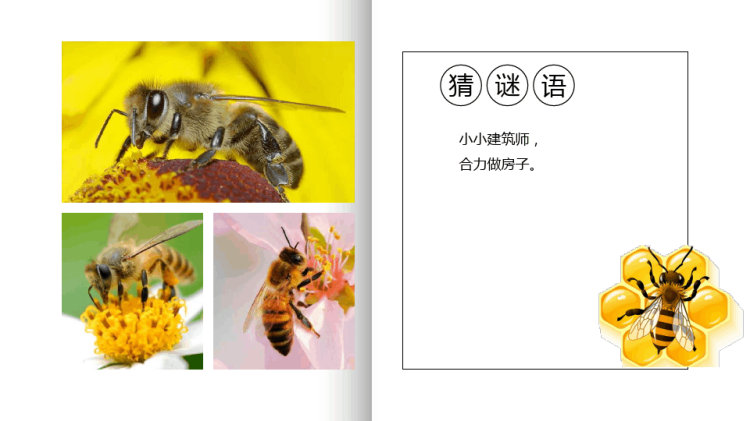树下的蜂窝少儿水彩笔美术PPT