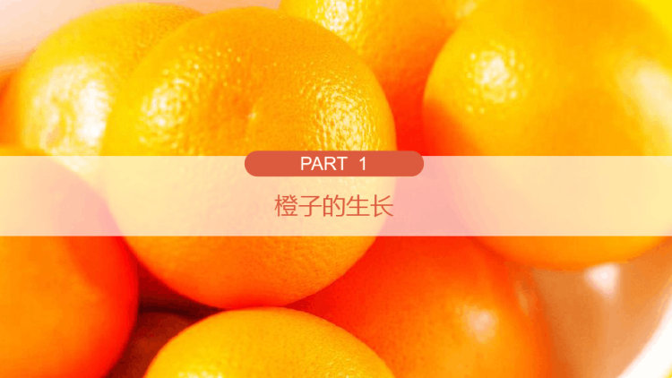 《橙子》少儿手工美术PPT