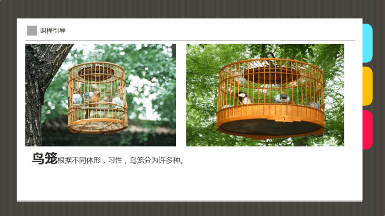 《笼子里的鸟》少儿水彩笔美术PPT
