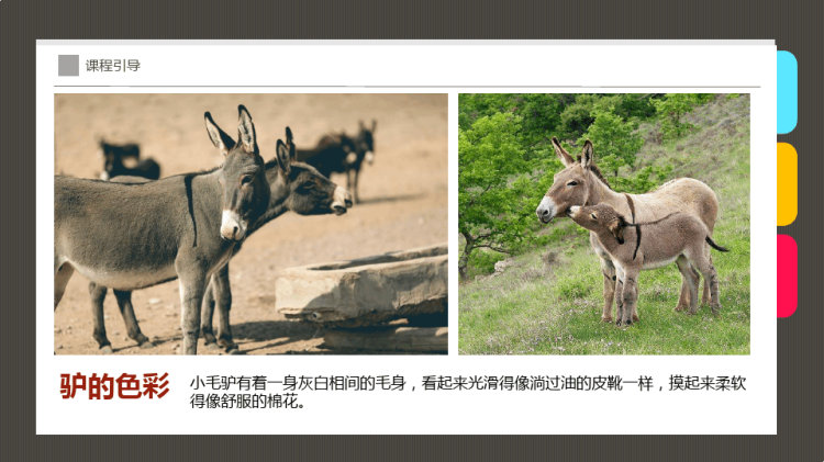 可爱的小毛驴少儿创意美术PPT