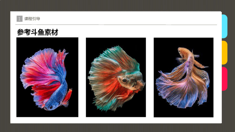 美丽鱼缸少儿水彩画美术PPT