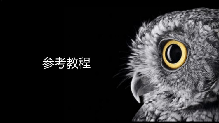 《树洞里的猫头鹰》少儿美术PPT