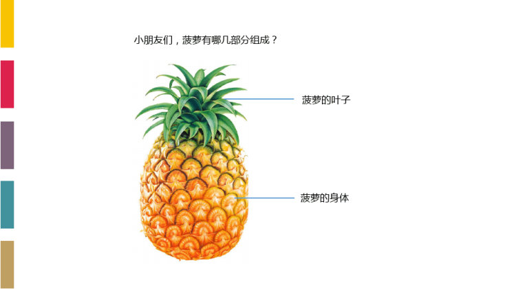 点点菠萝3至4岁美术PPT