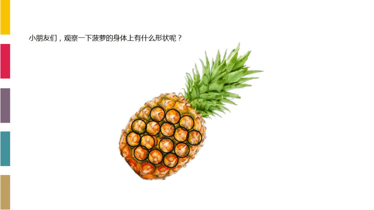 点点菠萝3至4岁美术PPT