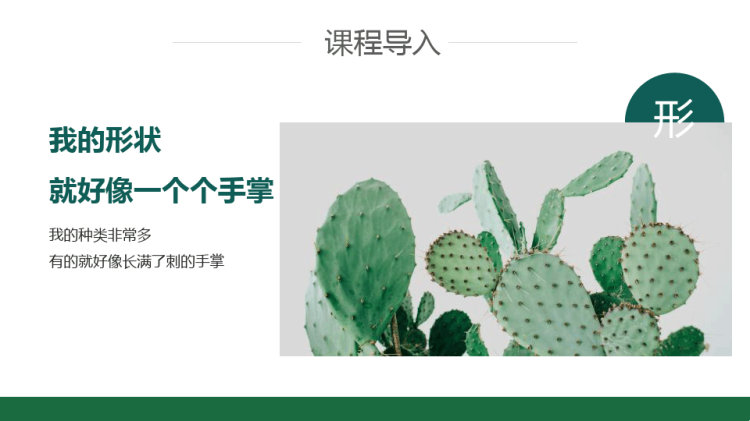 《创意画之仙人掌》4至6岁少儿畅想美术PPT