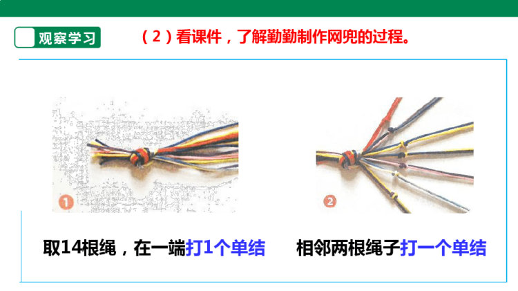 浙教版劳动四上项目二任务一《小网兜我来编》PPT