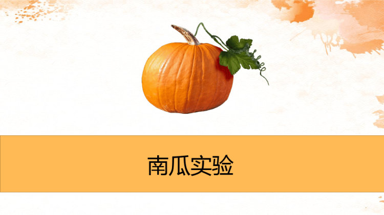 朝着目标奔跑主题班会PPT