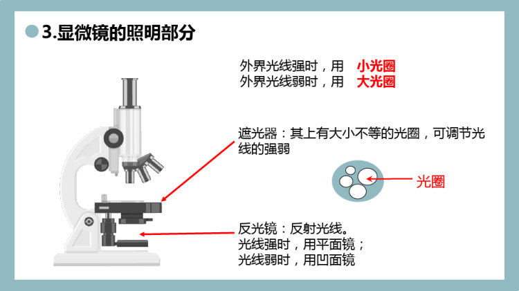 练习使用显微镜PPT