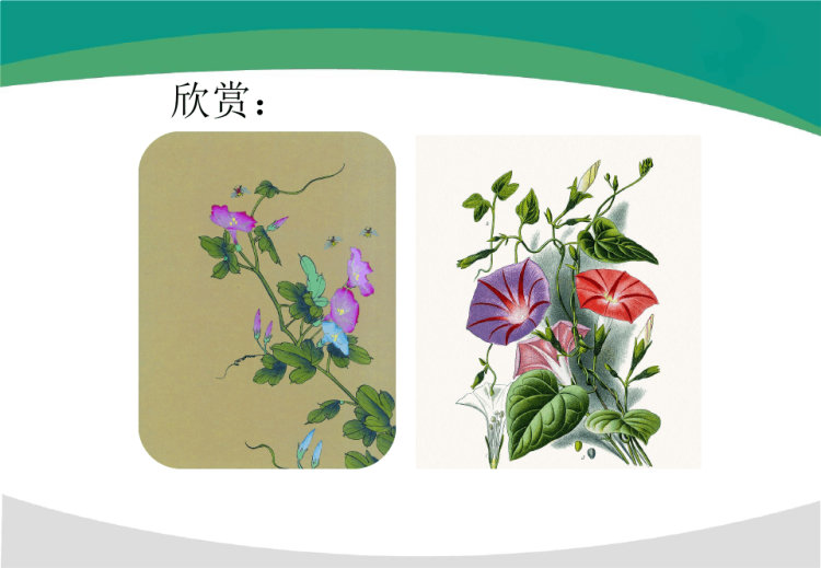 《牵牛花》5岁至6岁立体陶艺泥塑PPT