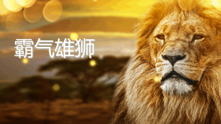 《手工狮子头》幼儿手工PPT