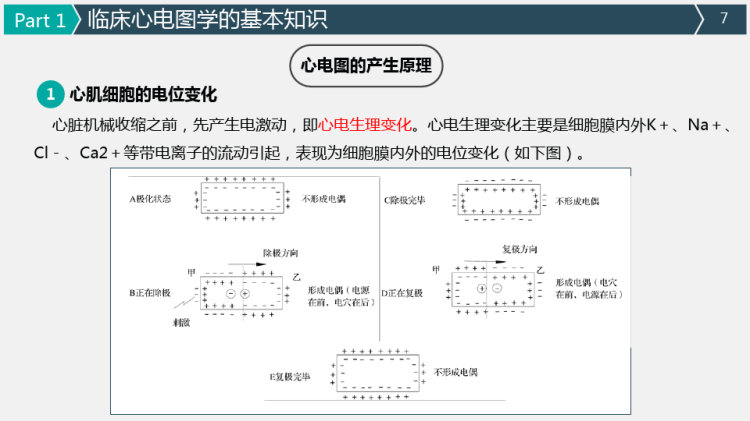 《健康评估》第七章心电图检查PPT