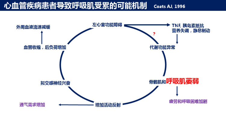 3呼吸肌训练的理论与实践PPT