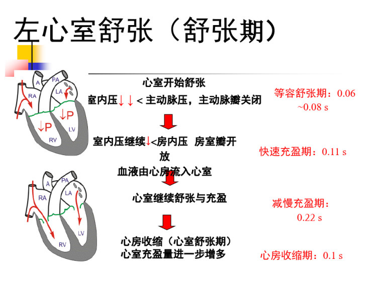 心脏的射血和充盈51PPT