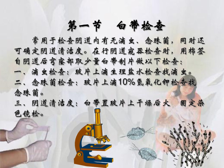 特殊检查PPT