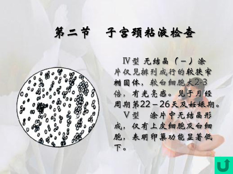 特殊检查PPT