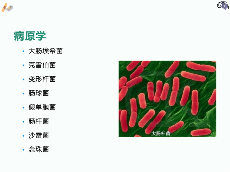 导尿管相关尿路感染预防与控制PPT