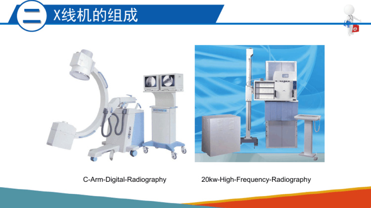 系统解剖与组织胚胎学：运动系统骨连结PPT