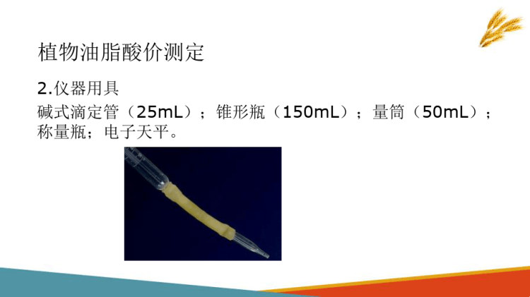 健康评估：临床诊断技术正常心电图PPT