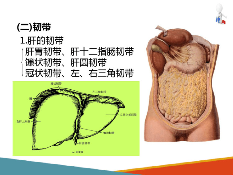 动物营养与饲料加工：饲料加工调制饲料产品的分类PPT