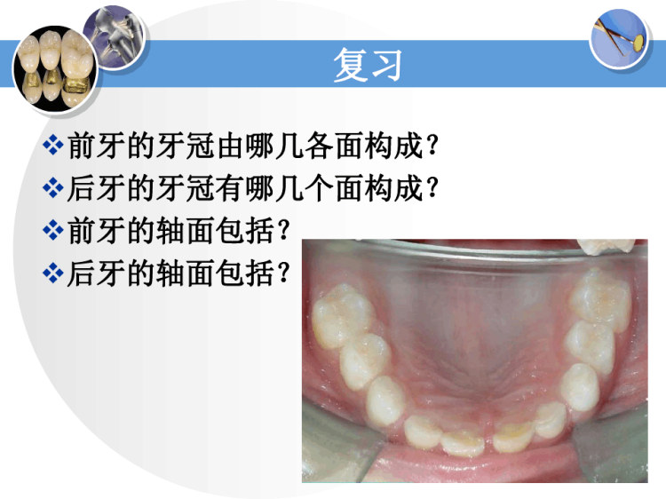 牙体解剖生理牙体解剖应用名称与解剖标志牙体解剖应用名称与解剖标志PPT课件