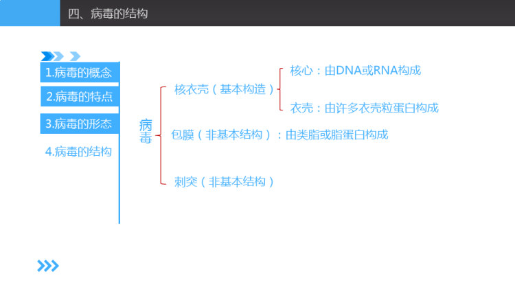 森林营造：杉木速生丰产林营造杉木幼林抚育管理PPT