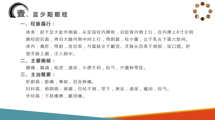 十二经络与腧穴识别及应用足厥阴肝经PPT