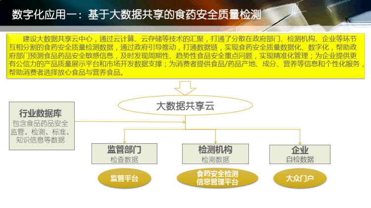 食药监数字化解决方案PPT