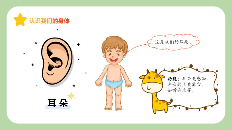 幼儿园优质《认识我们的身体》PPT