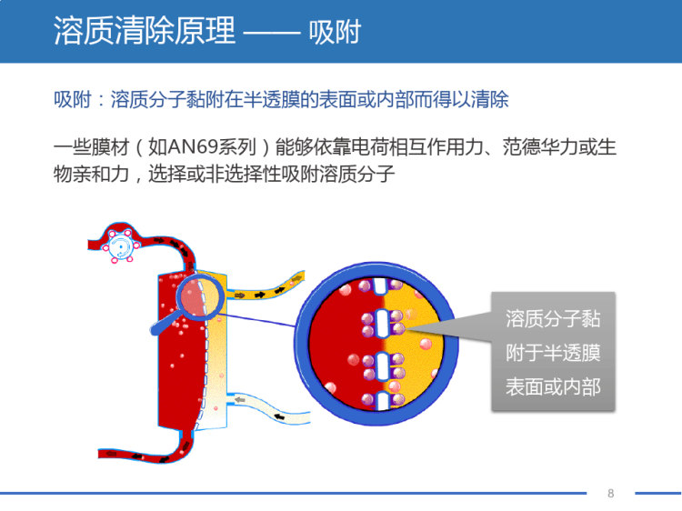 重症病人的血液净化：治疗原理和治疗技术PPT