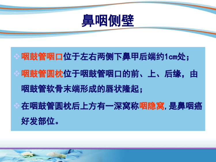 耳鼻喉头颈外科:04咽的解剖和生理PPT