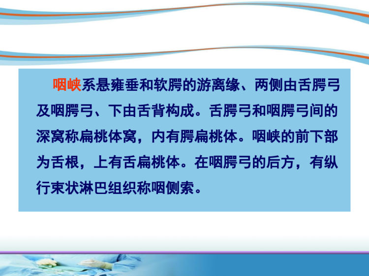 耳鼻喉头颈外科:04咽的解剖和生理PPT