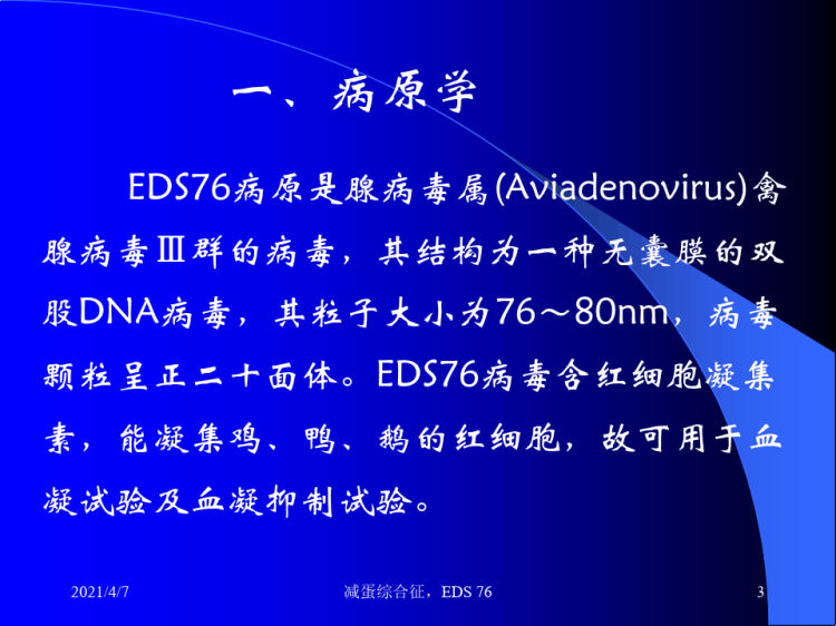 禽病学:减蛋综合征(Eggdrop20121015PPT