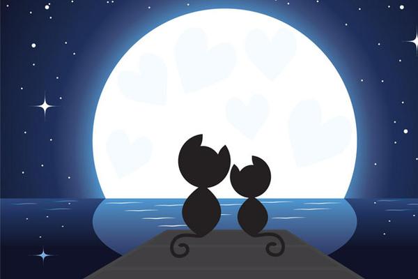 月光下的两只小猫PPT背景图片