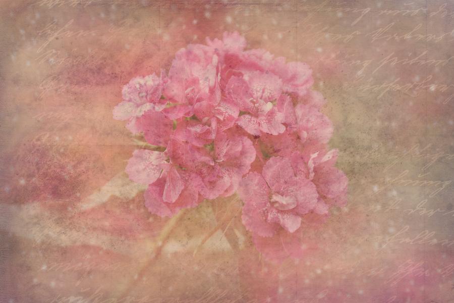 唯美粉色花卉艺术PPT背景图片