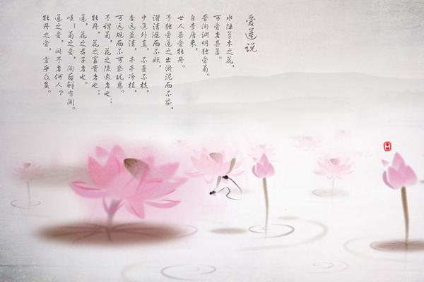 粉色荷花中国风PPT背景图片