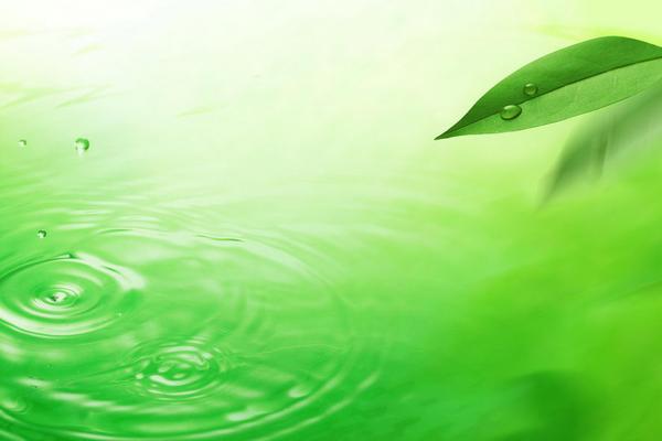 绿叶水珠波浪PPT背景图片
