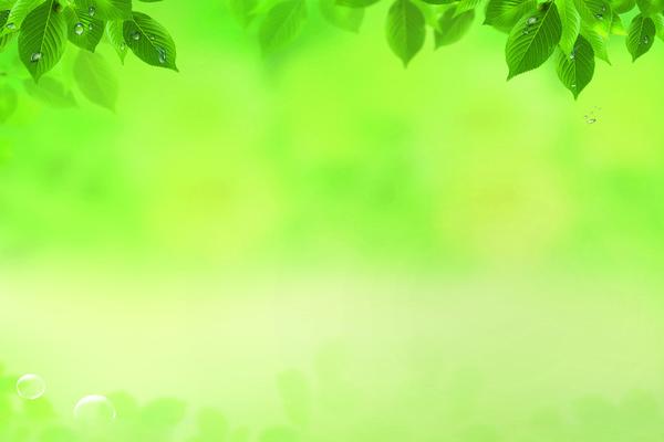 水珠树叶黄绿色调PPT背景图片