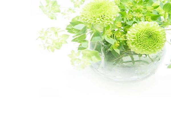 绿色花瓶植物PPT背景图片