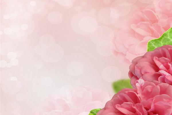 粉色花卉PPT背景图片
