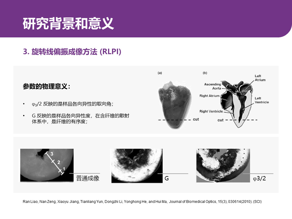 如何才能把学术型PPT做的更美观？这里有4条万能技巧-8