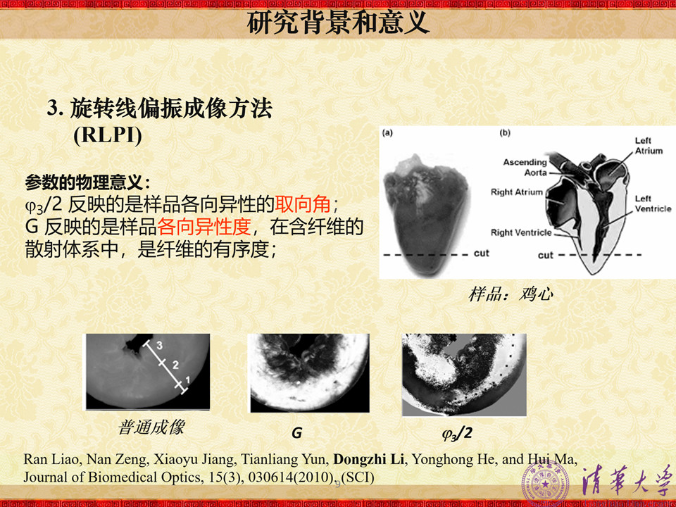 如何才能把学术型PPT做的更美观？这里有4条万能技巧-7