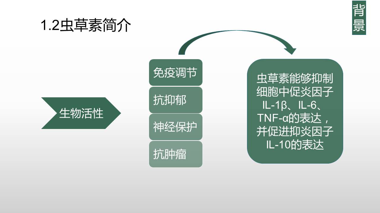 如何提高学术型PPT的颜值？-9