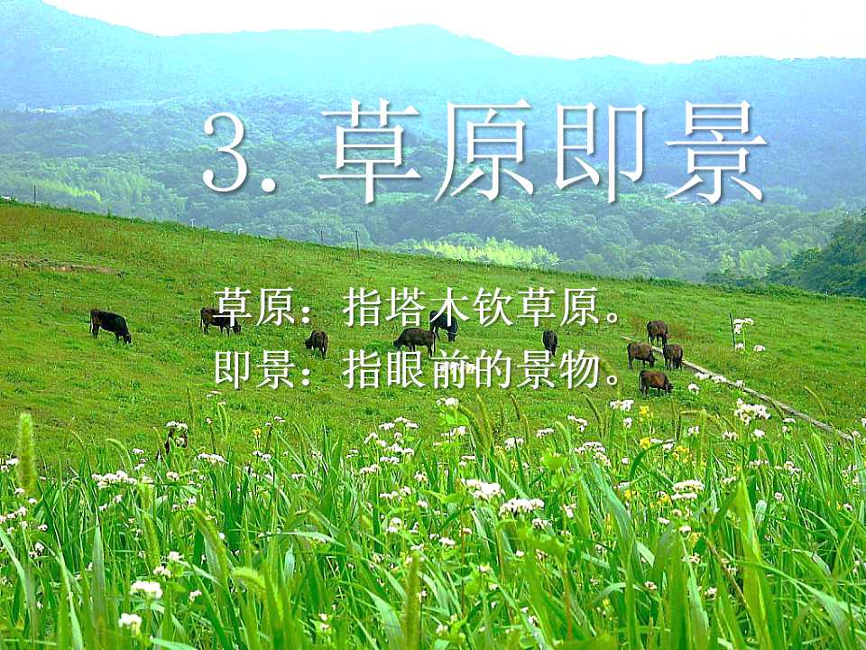 《草原即景》PPT课件2