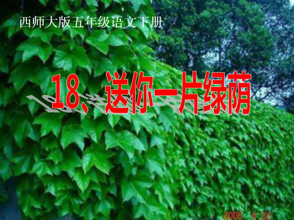 《送你一片绿荫》PPT课件4