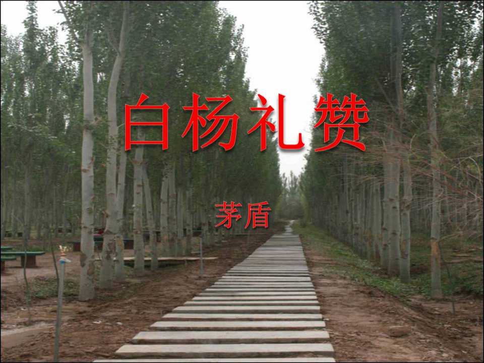 《白杨礼赞》PPT课件