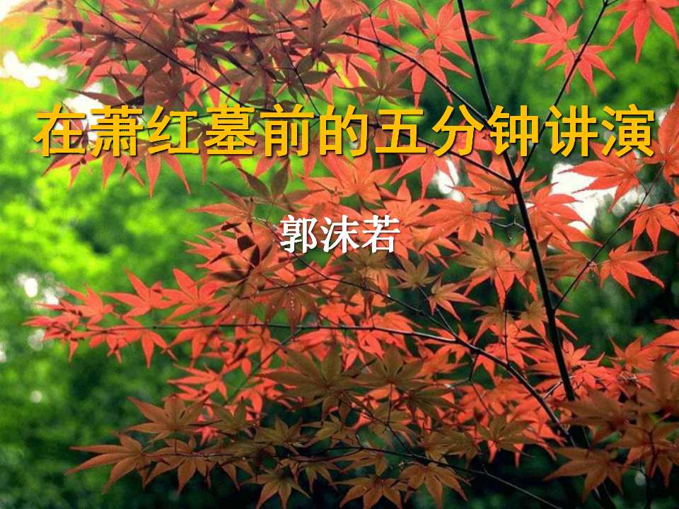 《在萧红墓前的五分钟讲演》PPT课件3