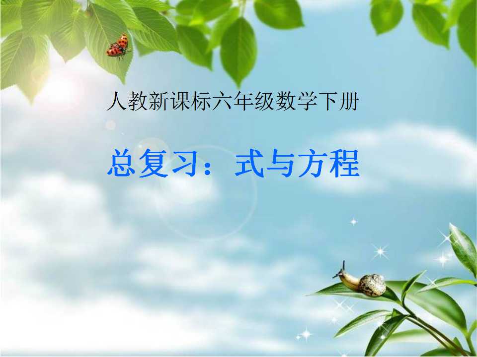 《总复习-式与方程》PPT课件