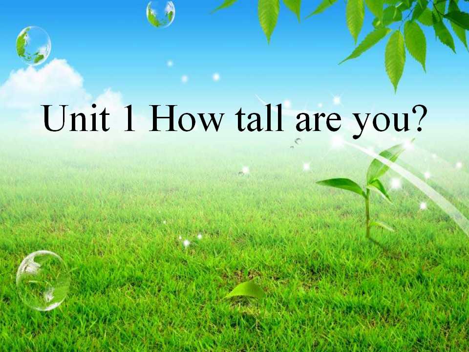 《How Tall Are You》第一课时PPT课件