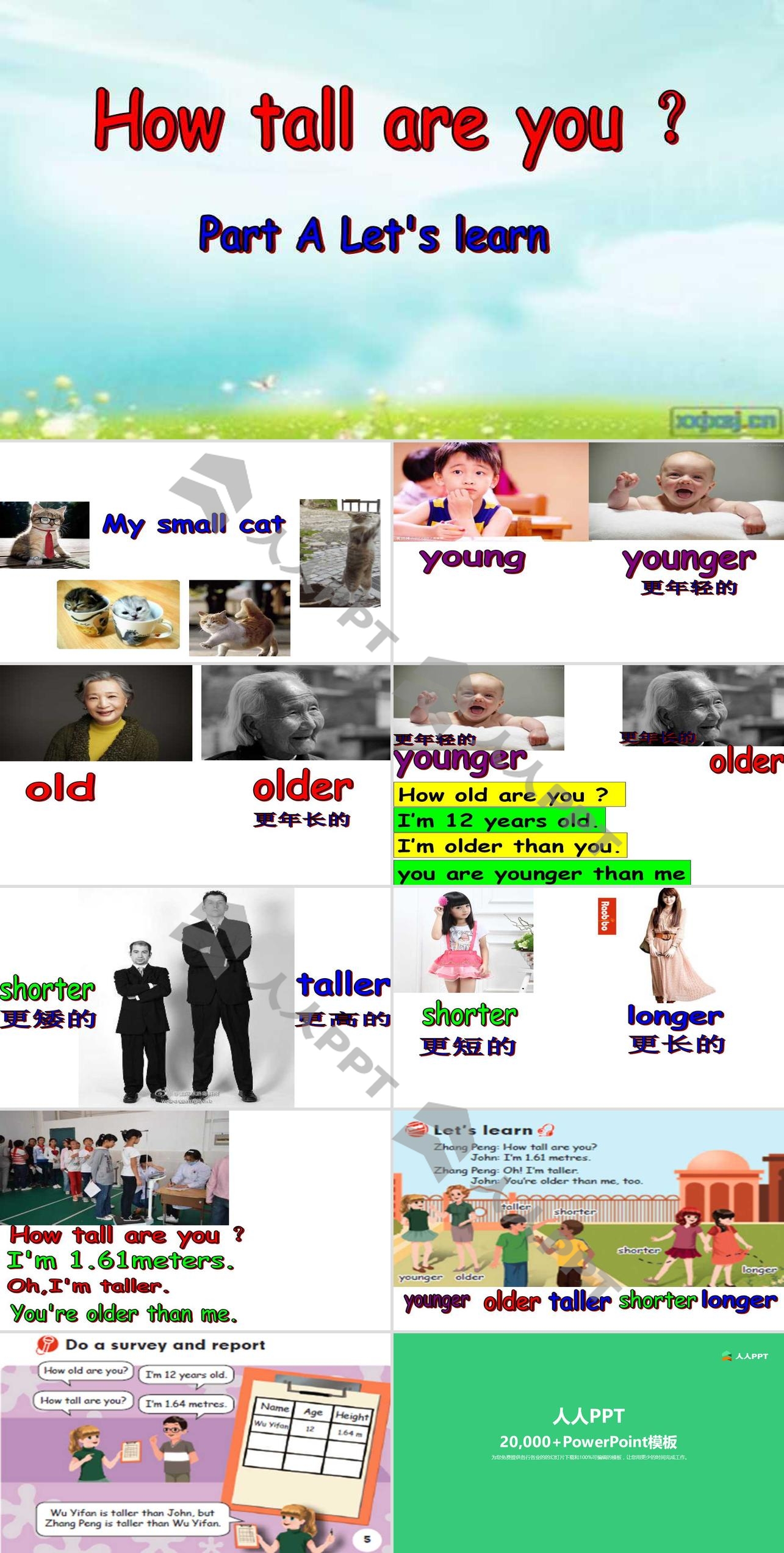 《How Tall Are You》第四课时PPT课件长图