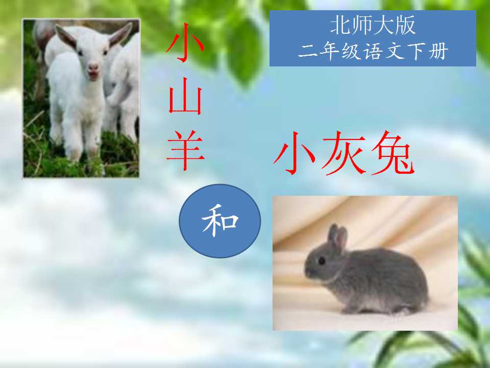 《小山羊和小灰兔》PPT课件4